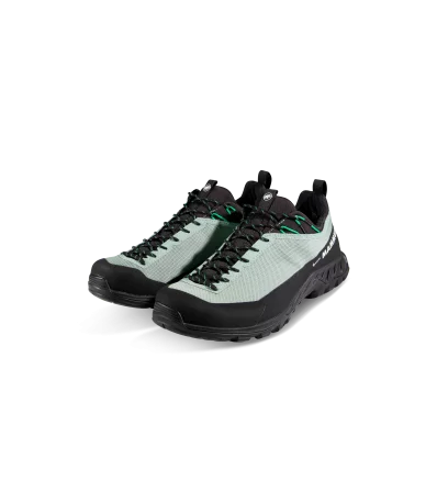 Mammut Alnasca IV Low GTX Men