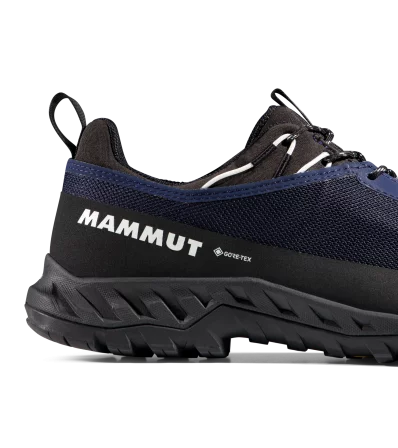 Mammut Alnasca IV Low GTX Men
