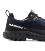 Mammut Alnasca IV Low GTX Men